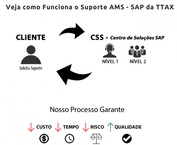 Veja-como-Funciona-o-Suporte-AMS-SAP-da-TTAX